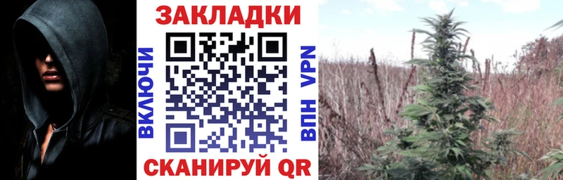 Где найти наркотики Томилино КОКАИН  Меф мяу мяу  Гашиш  Галлюциногенные грибы  Марихуана 