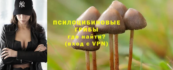 герыч Магас