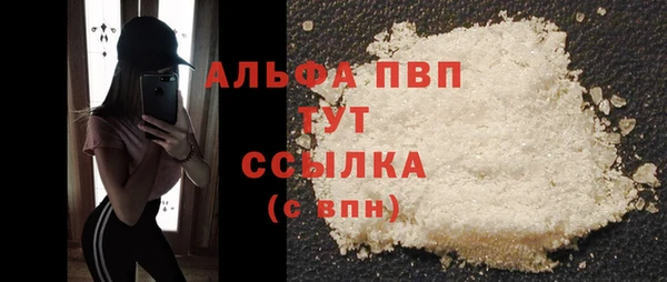 гашик Анжеро-Судженск